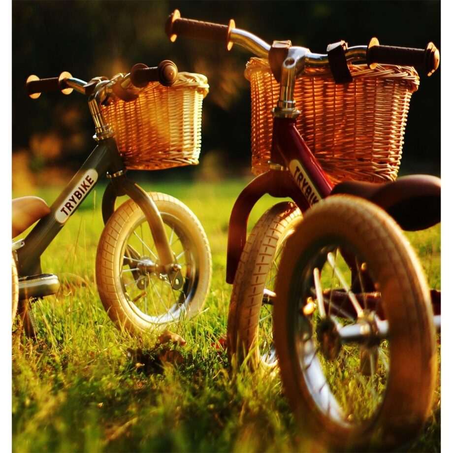 Trybike Καλάθι Ποδηλατου 3 - Παιχνίδια - Ποδήλατα - creamndreams.gr